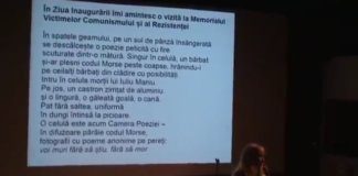 Metamorph ~ un punct plecat la plimbare – spectacol de poezie performativă