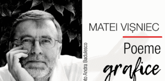 Poeme grafice de Matei Vișniec | Video-expoziție