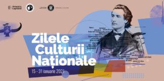 „Eminescu – personaj de roman” | Dezbatere