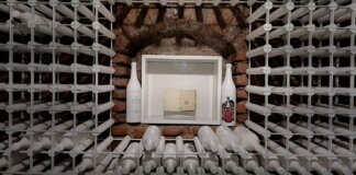 Mozaic scriitoricesc în po-stări sufletești #5