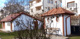 MOZAIC SCRIITORICESC ÎN PO-STĂRI SUFLETEȘTI #8