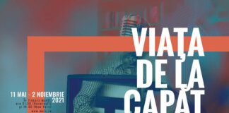 Merlich Saia / Viața Anew II