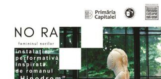 NO RA – Femininul norilor, o instalație performativă dedicată Norei Iuga în premieră la Muzeul Național al Literaturii Române