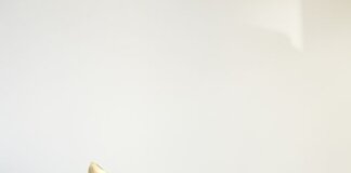 Premiile Muzeului Național al Literaturii Române