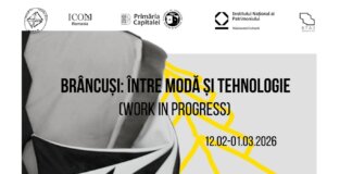 BRÂNCUȘI: ÎNTRE MODĂ ȘI TEHNOLOGIE (WORK IN PROGRESS)