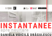 INSTANTANEE SPRE NEUITARE